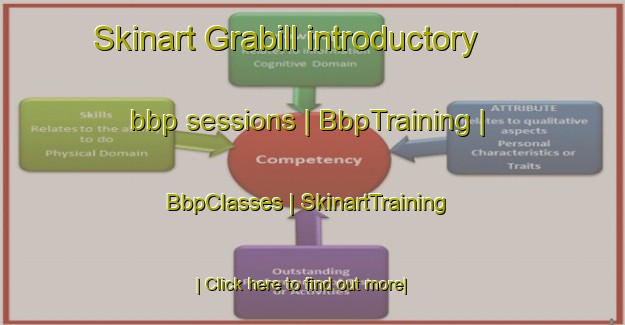 Skinart Grabill introductory bbp sessions | BbpTraining | BbpClasses | SkinartTraining-United States